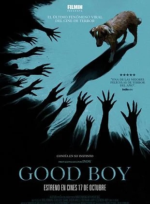 Más detalles de esta película